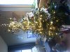 20131211_091818.jpg