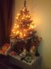 IMG_20131211_213450.jpg