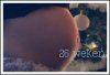 Baby 26 weken.jpg