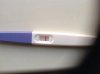 z&k 10 dpo.jpg