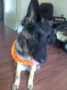30052012_003.jpg