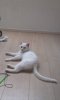 2013-09-03 13.07.04.jpg