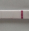 2014-01-09 11.16.14.png