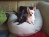 2012-05-01 18.09.47.jpg