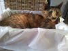 20130905_112954.jpg