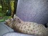 20130315_100522.jpg