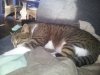 20131225_110158.jpg