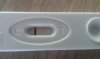 IMAG0307.jpg
