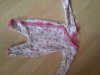 Foto550-CYDH3ETA.jpg