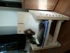 IMG-20140110-WA0000.jpg