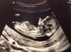 photo (1).jpg