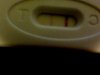 Picture 103.jpg