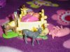 DSC02987.jpg