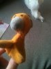 Fotos telefoon 675.jpg
