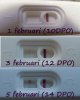 tests feb2014.jpg