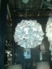 IMG-20140206-WA0024.jpg
