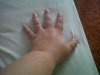 IMG00087-20120629-0912.jpg