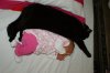 DSC07037.jpg