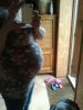 IMG-20120705-WA0000.jpg