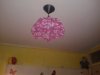 20120707_060320.jpg