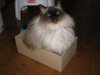 IMG_0903_resize.JPG