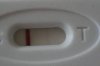 testje 1.jpg