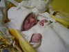 DSC01655.jpg