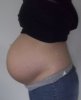27wk - kopie.jpg