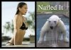 getting-out-of-a-pool-nailed-it-polar-bear.jpg