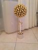 IMG-20140213-WA0017.jpg