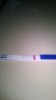 WP_20140216_002.jpg