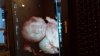 20140215_074400.jpg