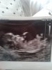 baby.jpg
