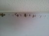 20140219_113135.jpg