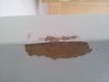20140219_113147.jpg