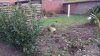 IMG-20131214-WA0004.jpg