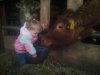 1912010_10203042432652088_832891934_n.jpg