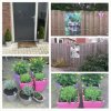 PhotoGrid_1394554853807.jpg