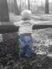 IMG_2864159618066.jpg