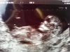 IMG-20140314-WA0002.jpg
