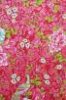 flowers%20in%20the%20mix%20rood.jpg