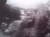 IMG-20140317-WA0024 (1).jpg
