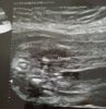CAM00111-1.jpg