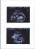 Scan0004.jpg