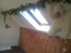 20140329_123401.jpg