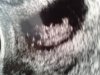 20140401_195449.jpg