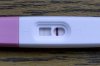 foto13.jpg