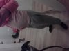 IMG-20140407-WA0008.jpg
