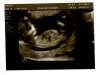 Echo9april-1-pr.jpg