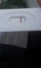 Screenshot_2014-04-16-12-51-17 (1).jpg